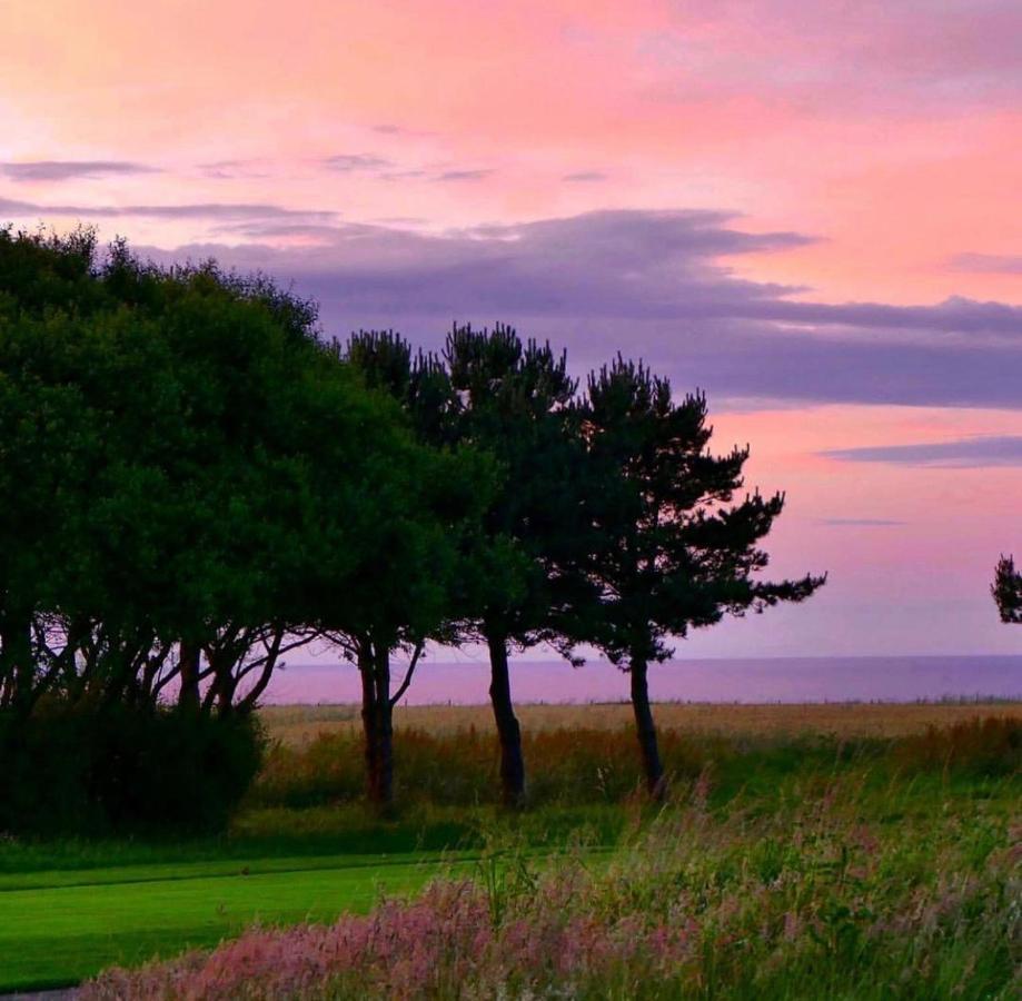 Normandy'S Green By The Sea Port-en-Bessin-Huppain Exterior photo